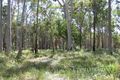 Property photo of 85 Johns Road Cooroibah QLD 4565