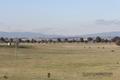 Property photo of 23 Icely Street Eglinton NSW 2795