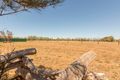 Property photo of 5 Fertile Avenue Two Wells SA 5501