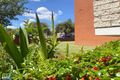 Property photo of 2/51-53 Loftus Street Campsie NSW 2194