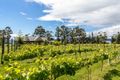 Property photo of 4583 Channel Highway Middleton TAS 7163