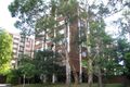 Property photo of 37/77-83 Cook Road Centennial Park NSW 2021