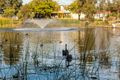Property photo of 7 Salamanca Parkway Port Kennedy WA 6172