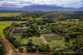 Property photo of 508 Dinner Creek Road Eubenangee QLD 4860