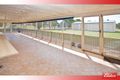 Property photo of 20-22 Shergar Court Glenlogan QLD 4280