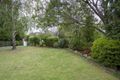 Property photo of 7 Garden Street Hampton VIC 3188