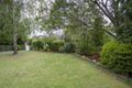 Property photo of 7 Garden Street Hampton VIC 3188