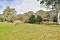 Property photo of 252-262 Spinks Road Llandilo NSW 2747