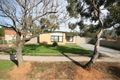Property photo of 7 Pellew Street Parafield Gardens SA 5107