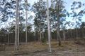 Property photo of 2288 Burra Burri Creek Road Fairyland QLD 4413