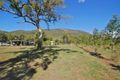 Property photo of 35812 Bruce Highway Nome QLD 4816