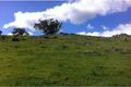 Property photo of 11 Drumree Drive Dumbarton WA 6566