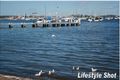 Property photo of 73 Evans Street Belmont NSW 2280