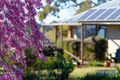 Property photo of 309 Dangars Falls Road Dangarsleigh NSW 2350