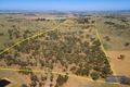 Property photo of 309 Dangars Falls Road Dangarsleigh NSW 2350
