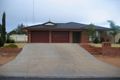 Property photo of 56 Mary Starr Drive Waikerie SA 5330
