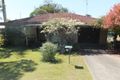 Property photo of 44 Jensen Street Gatton QLD 4343