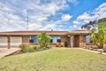 Property photo of 24 Thiele Avenue Loxton SA 5333