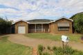 Property photo of 19 Hoad Street Griffith NSW 2680