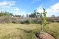 Property photo of 12 Octagonal Way Muswellbrook NSW 2333