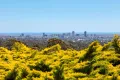 Property photo of 586 The Parade Auldana SA 5072