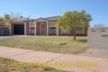 Property photo of 1/141-143 Stradbroke Avenue Swan Hill VIC 3585