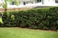 Property photo of 6 Ormonde Road Yeronga QLD 4104