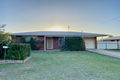 Property photo of 41 Hamlyn Road Oakey QLD 4401