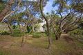 Property photo of 56 Dunham Street Rye VIC 3941
