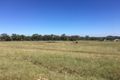 Property photo of 25456 New England Highway Applethorpe QLD 4378