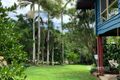 Property photo of 1 Timana Terrace Wongaling Beach QLD 4852