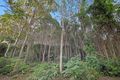 Property photo of 78 Suncoast Beach Drive Mount Coolum QLD 4573