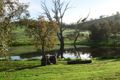 Property photo of 11 Drumree Drive Dumbarton WA 6566