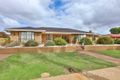 Property photo of 22 Nulty Drive Robinvale VIC 3549