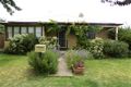 Property photo of 37 Endsleigh Avenue Orange NSW 2800
