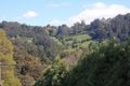 Property photo of 63 Camms Road Monbulk VIC 3793