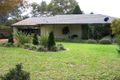 Property photo of 71 Wood Street Jindera NSW 2642