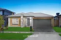 Property photo of 24 Patrobas Loop Cranbourne East VIC 3977