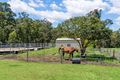 Property photo of 568 Grieve Road Rochedale QLD 4123