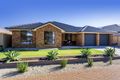 Property photo of 19 Atlantis Avenue Seaford Meadows SA 5169