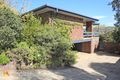 Property photo of 1 Banks Avenue Kooringal NSW 2650