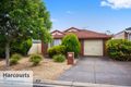 Property photo of 13 Cobbler Circuit Salisbury Heights SA 5109