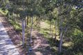 Property photo of 69 Nathanvale Drive Mount Nathan QLD 4211