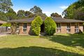 Property photo of 19 Cheviot Avenue Berwick VIC 3806