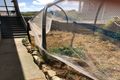 Property photo of 14 Jaycee Avenue Currie TAS 7256