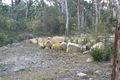 Property photo of 178 Old Jetty Road Eaglehawk Neck TAS 7179