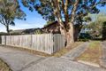 Property photo of 3 Curlew Court Hastings VIC 3915
