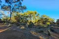 Property photo of 7 Rainbird Rise Mount Barker WA 6324