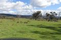 Property photo of 173 Strip Road Little Swanport TAS 7190