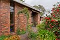 Property photo of 3/8 Halford Street Castlemaine VIC 3450